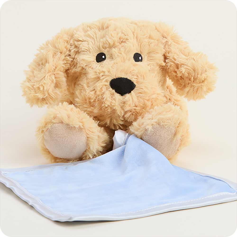 Golden Dog Blankie Warmies - Cozy Glow