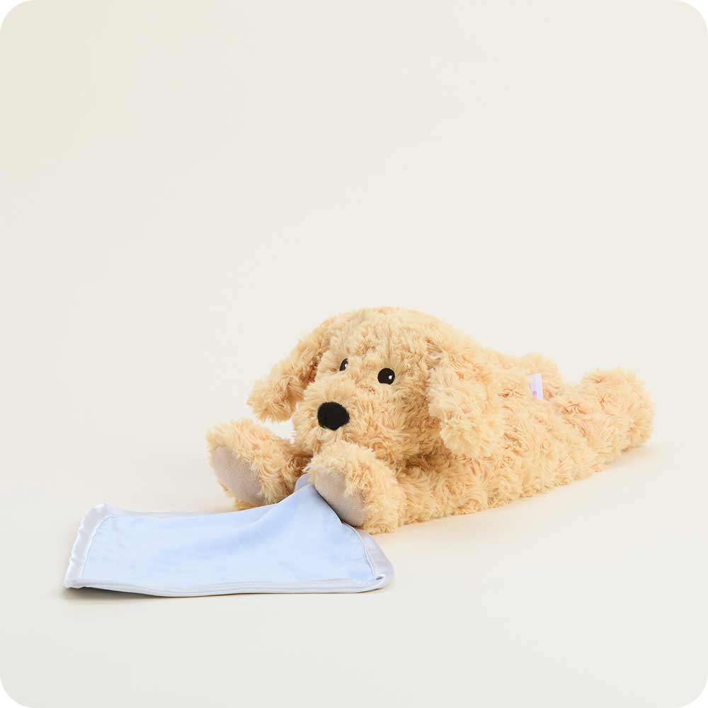Golden Dog Blankie Warmies - Cozy Glow