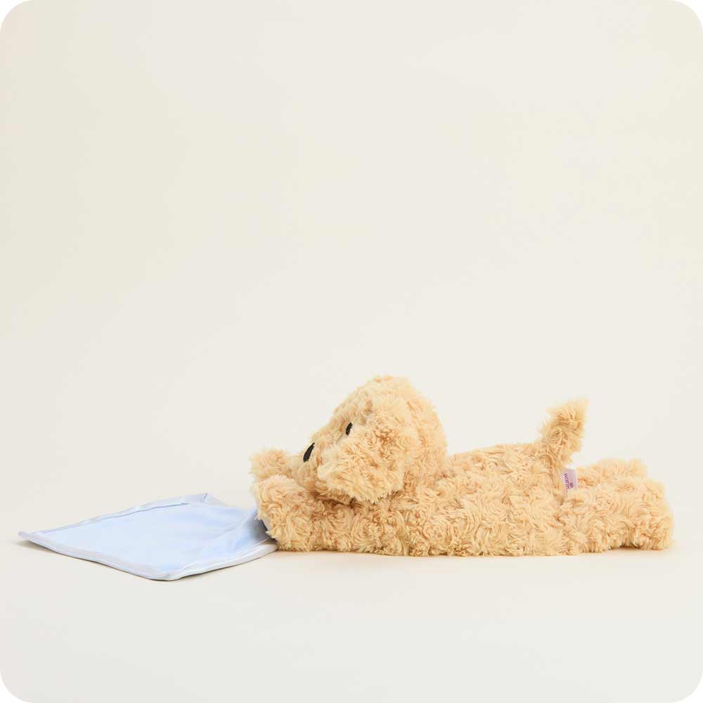 Golden Dog Blankie Warmies - Cozy Glow