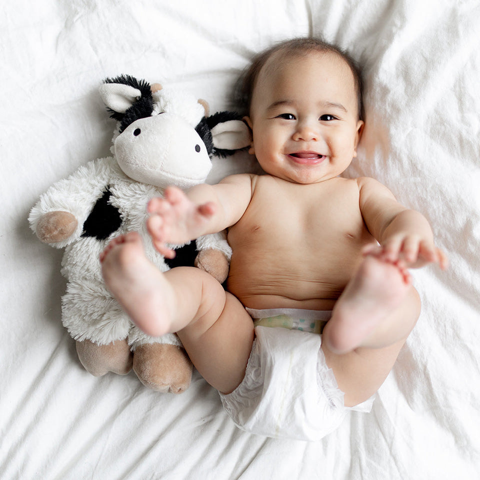 Black and White Cow Warmies - Gift Ready