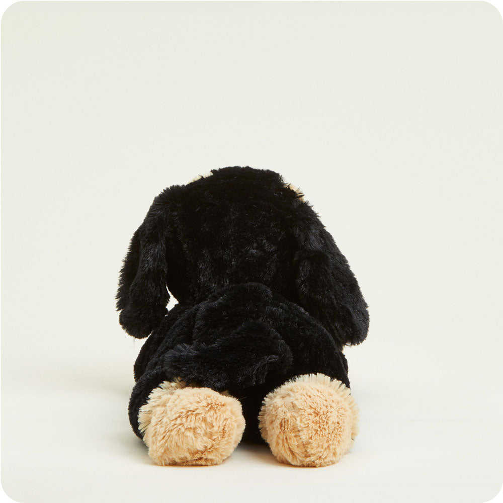 Dachshund Warmies - Home Glow