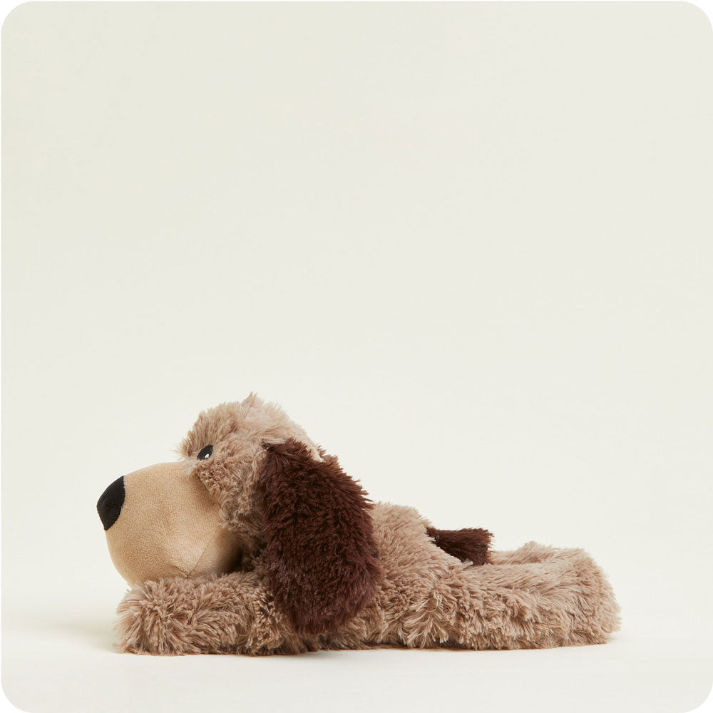 Brown Dog Warmies - Daily Scent