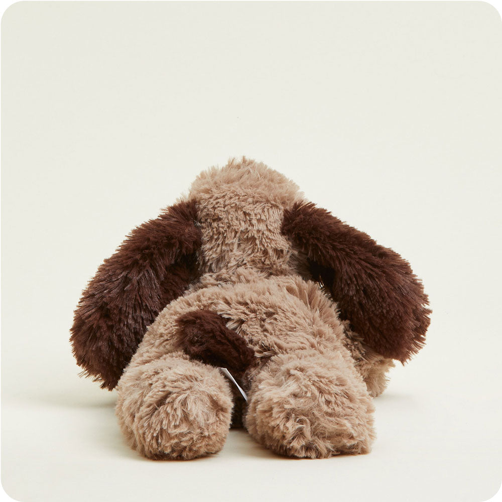 Brown Dog Warmies - Daily Scent