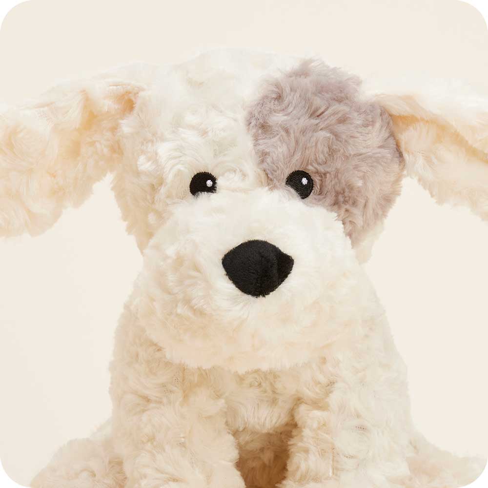 Patch Curly Dog Warmies - Daily Scent