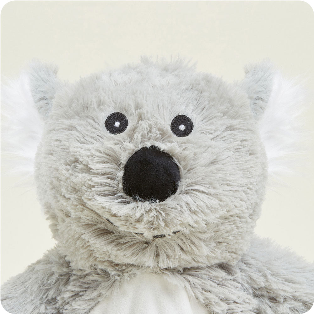 Koala Warmies - Fresh Notes