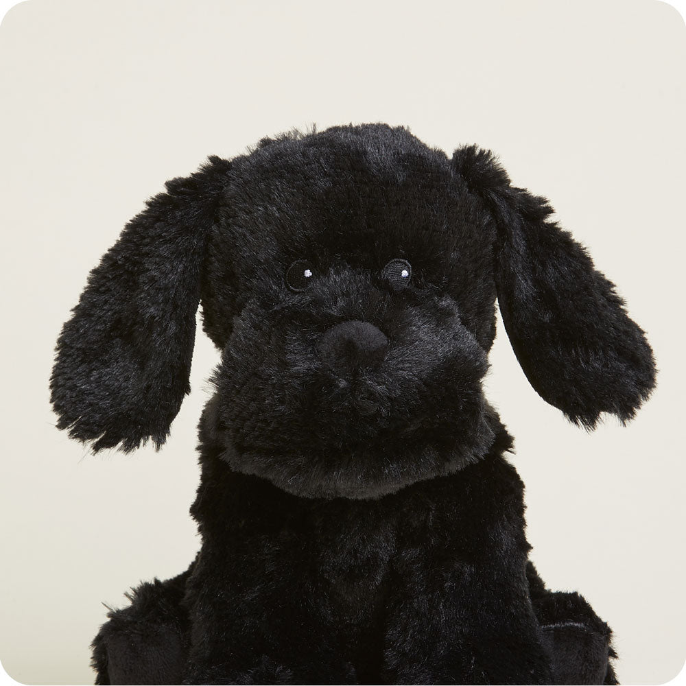 Black Labrador Warmies - Home Glow