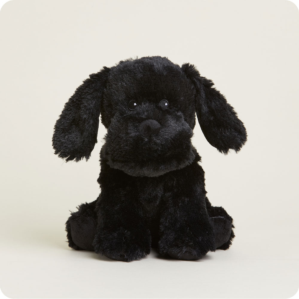 Black Labrador Warmies - Home Glow