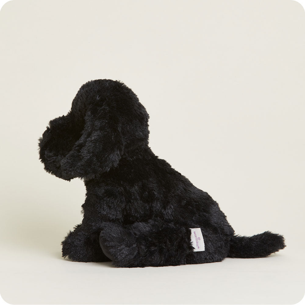 Black Labrador Warmies - Home Glow