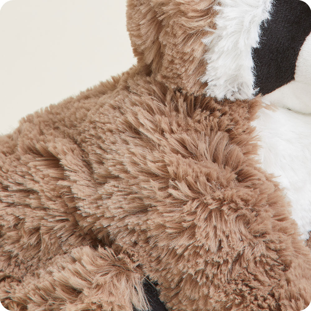 Raccoon Warmies - Easy Spritz