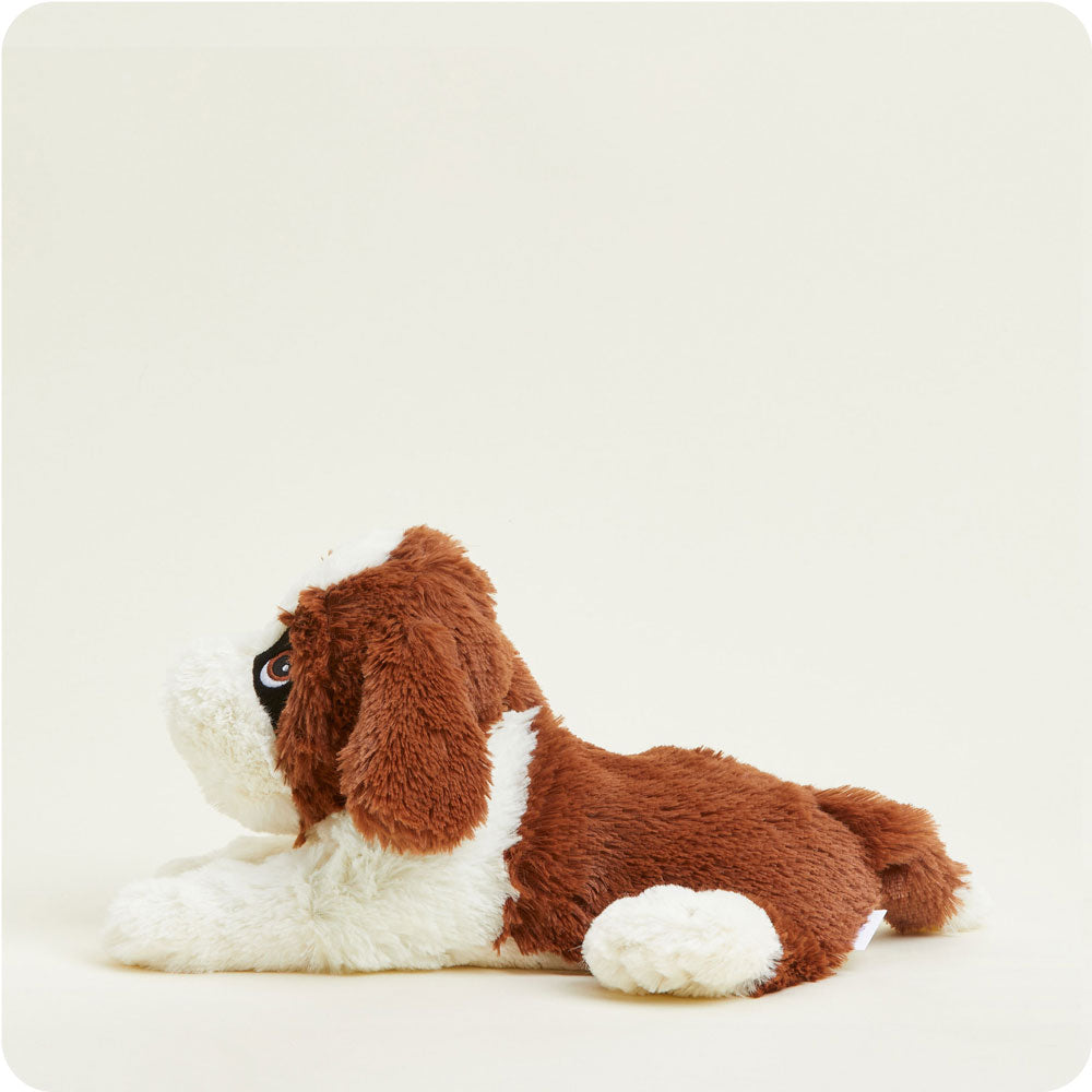 St. Bernard Warmies - Warm Blend
