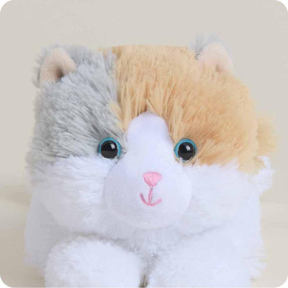 Calico Cat Warmies Junior - Fresh Notes