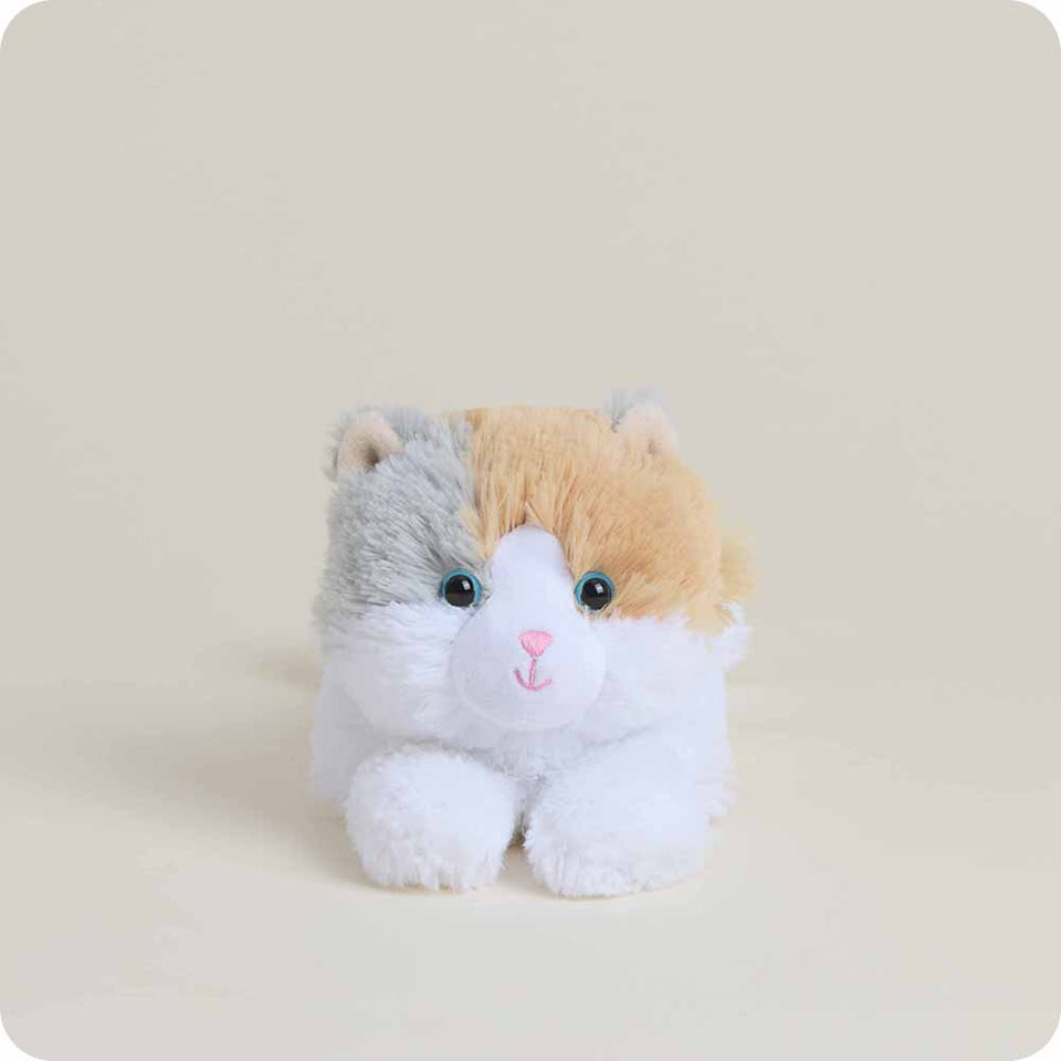 Calico Cat Warmies Junior - Fresh Notes