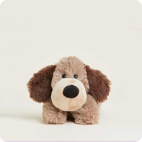 Brown Dog Warmies Junior - Easy Spritz