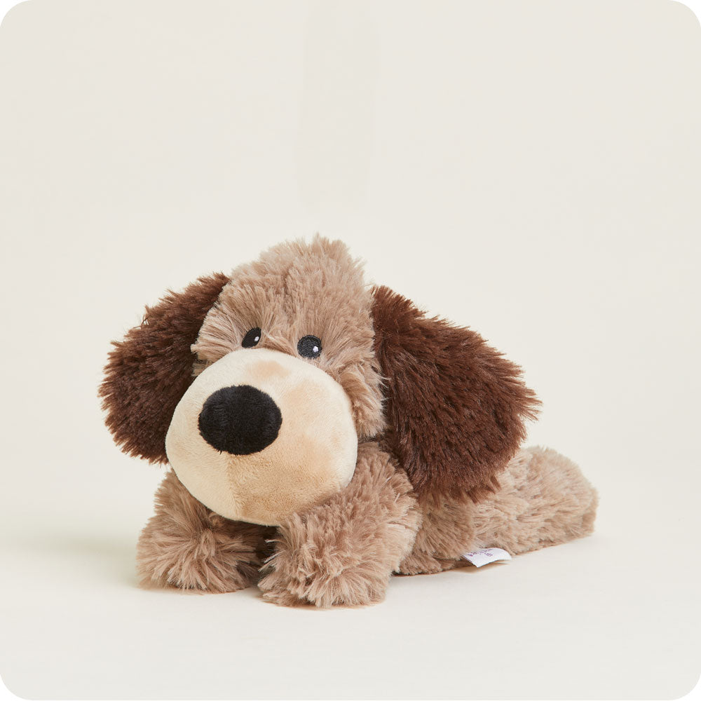 Brown Dog Warmies Junior - Easy Spritz