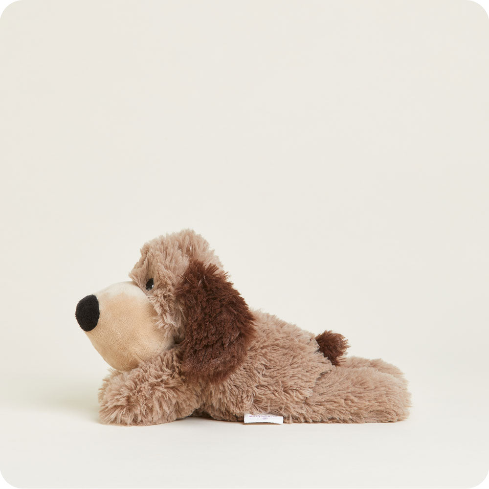 Brown Dog Warmies Junior - Easy Spritz