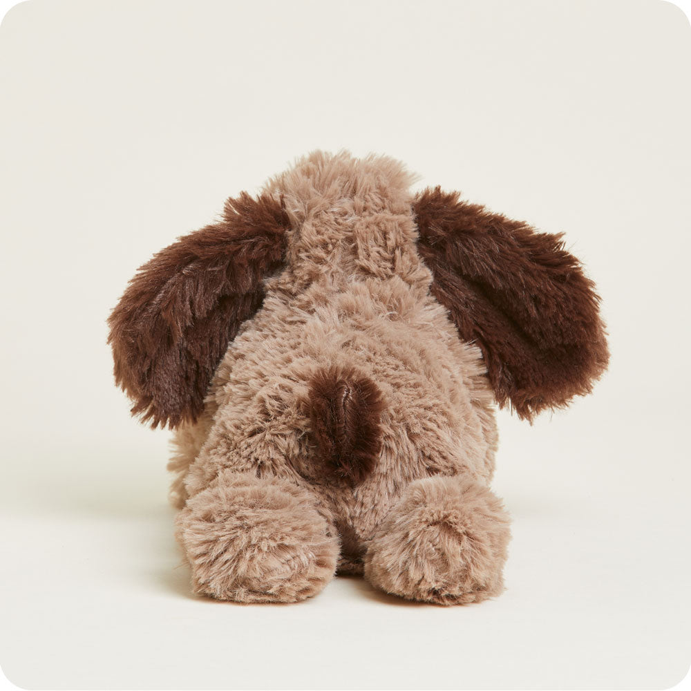Brown Dog Warmies Junior - Easy Spritz