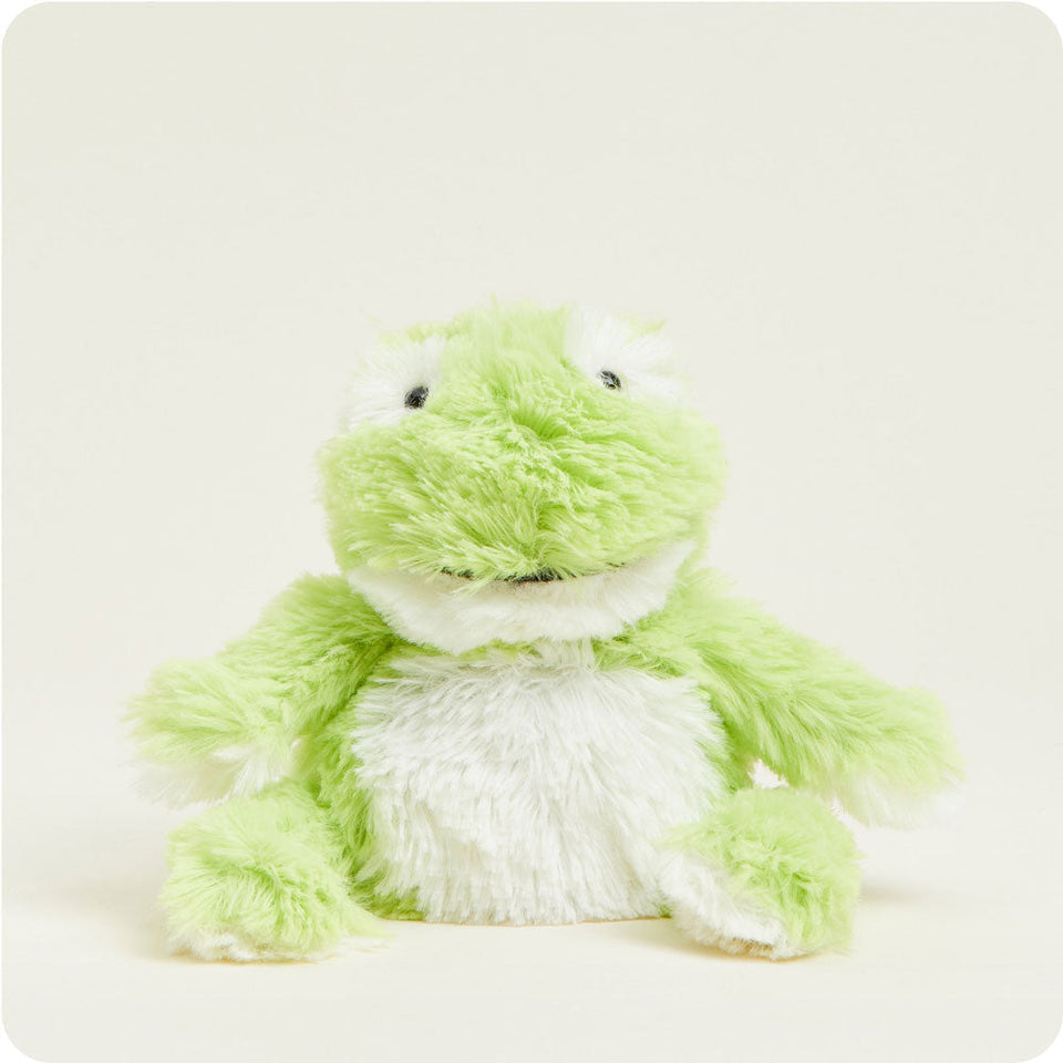 Frog Warmies Junior - Classic Notes