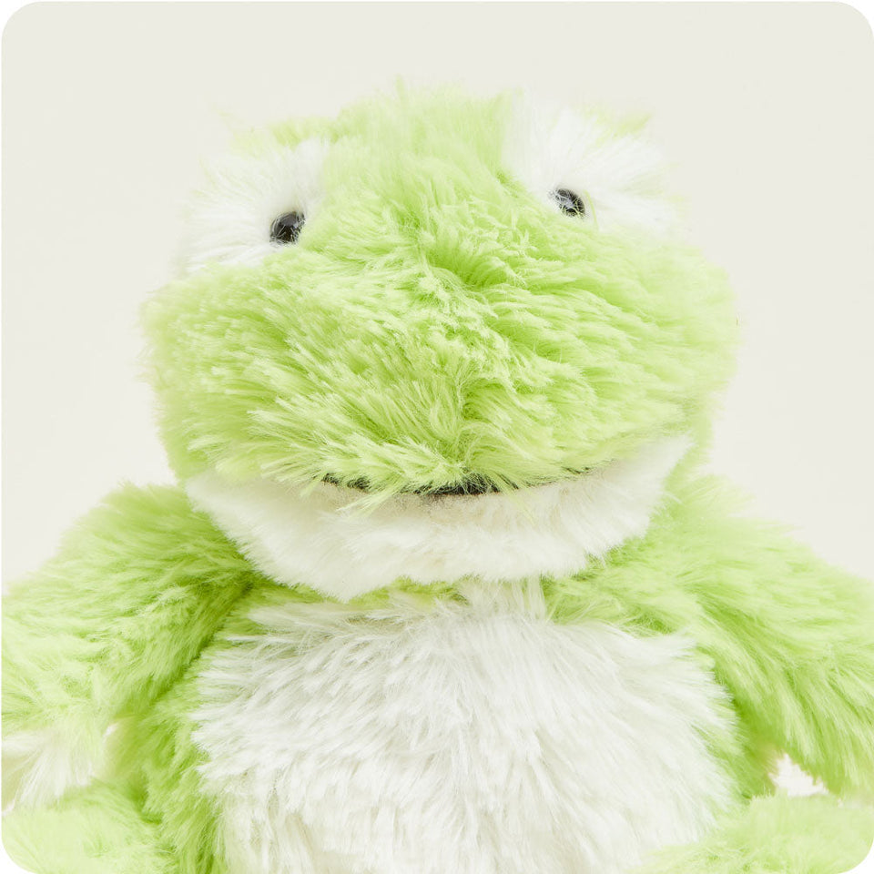 Frog Warmies Junior - Classic Notes