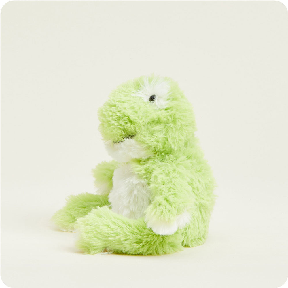 Frog Warmies Junior - Classic Notes