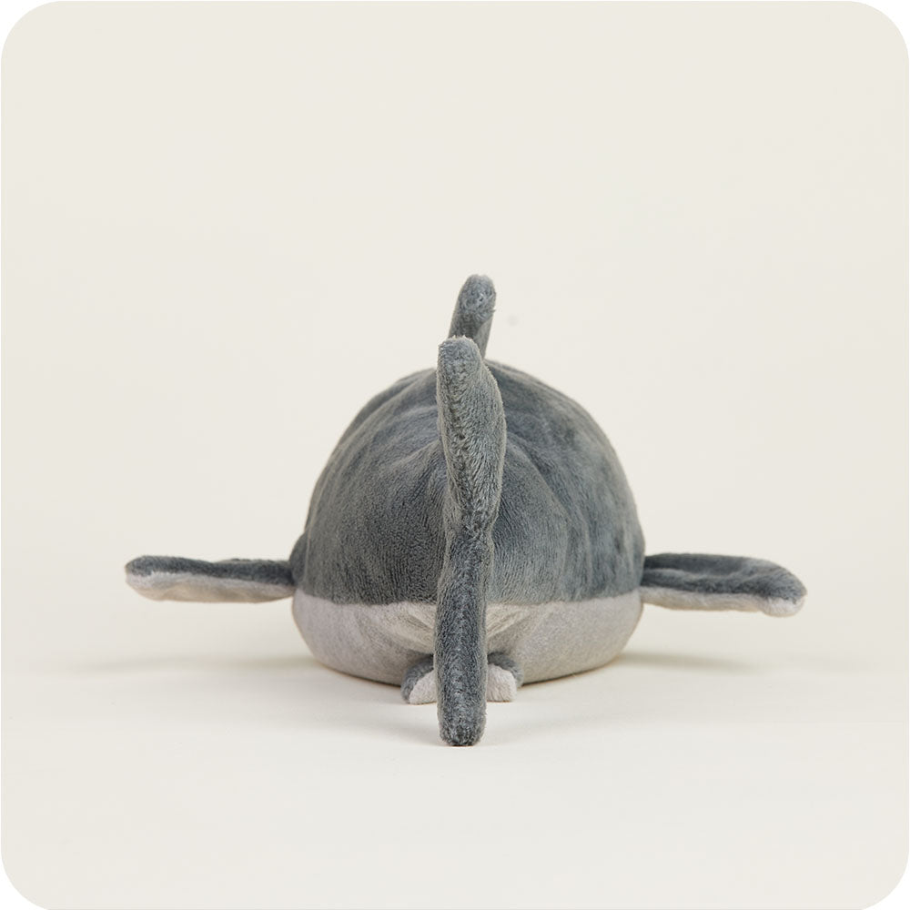 Shark Warmies Junior - Fresh Notes