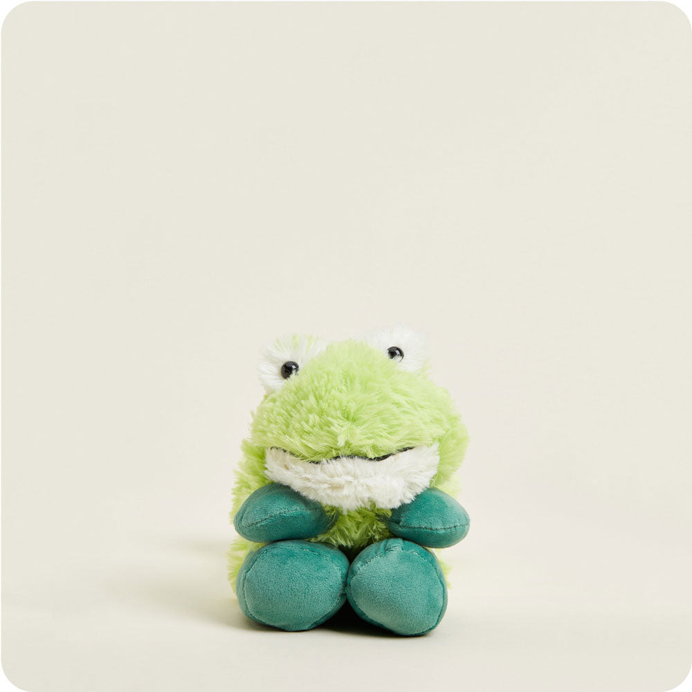 Frog Warmies Wrap - Gift Ready