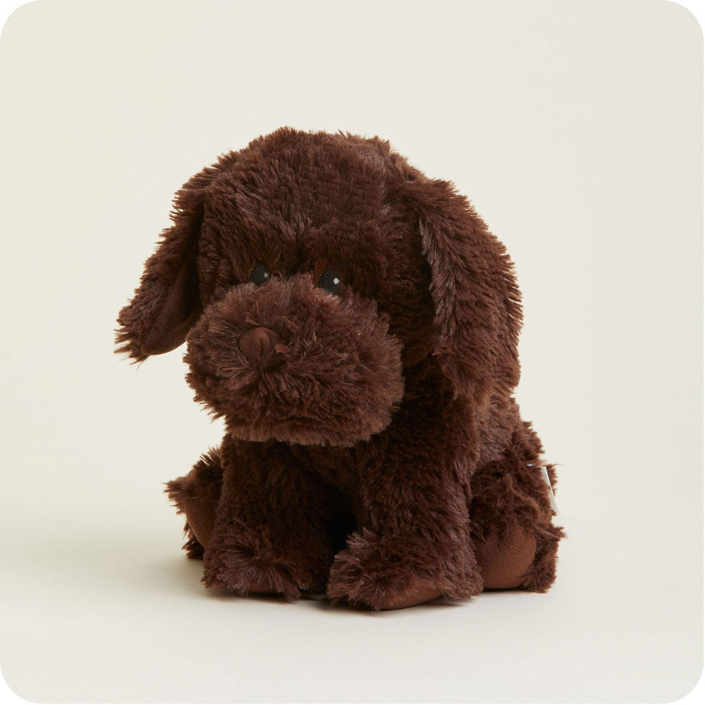 Chocolate Labrador Warmies - Cozy Glow