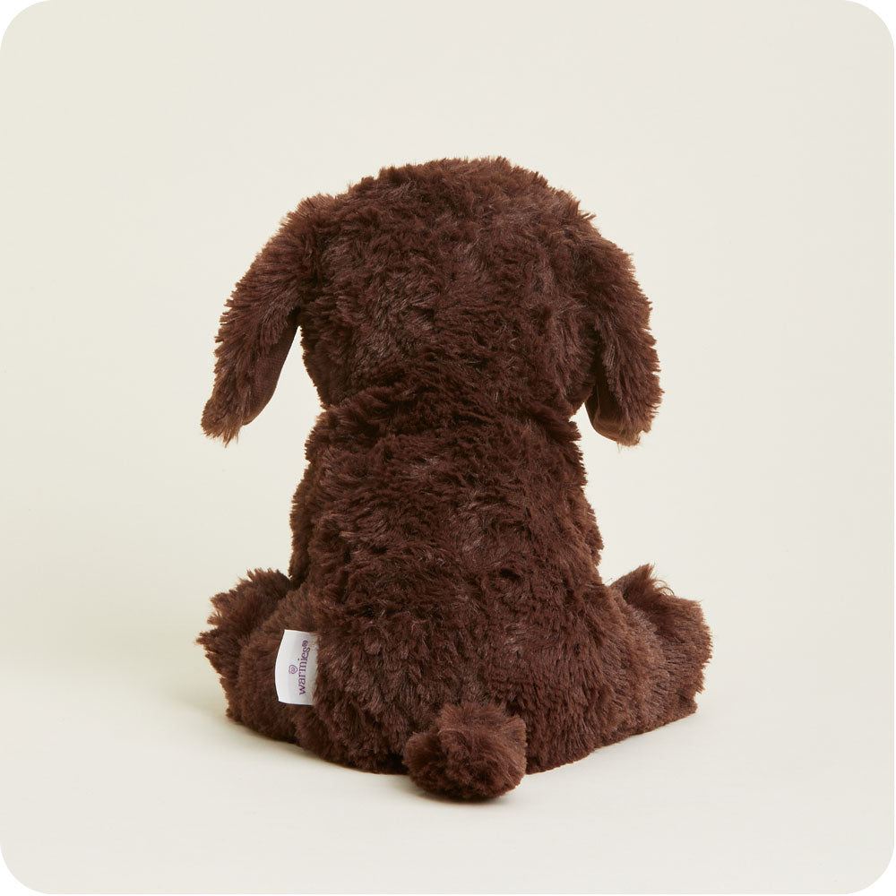 Chocolate Labrador Warmies - Cozy Glow