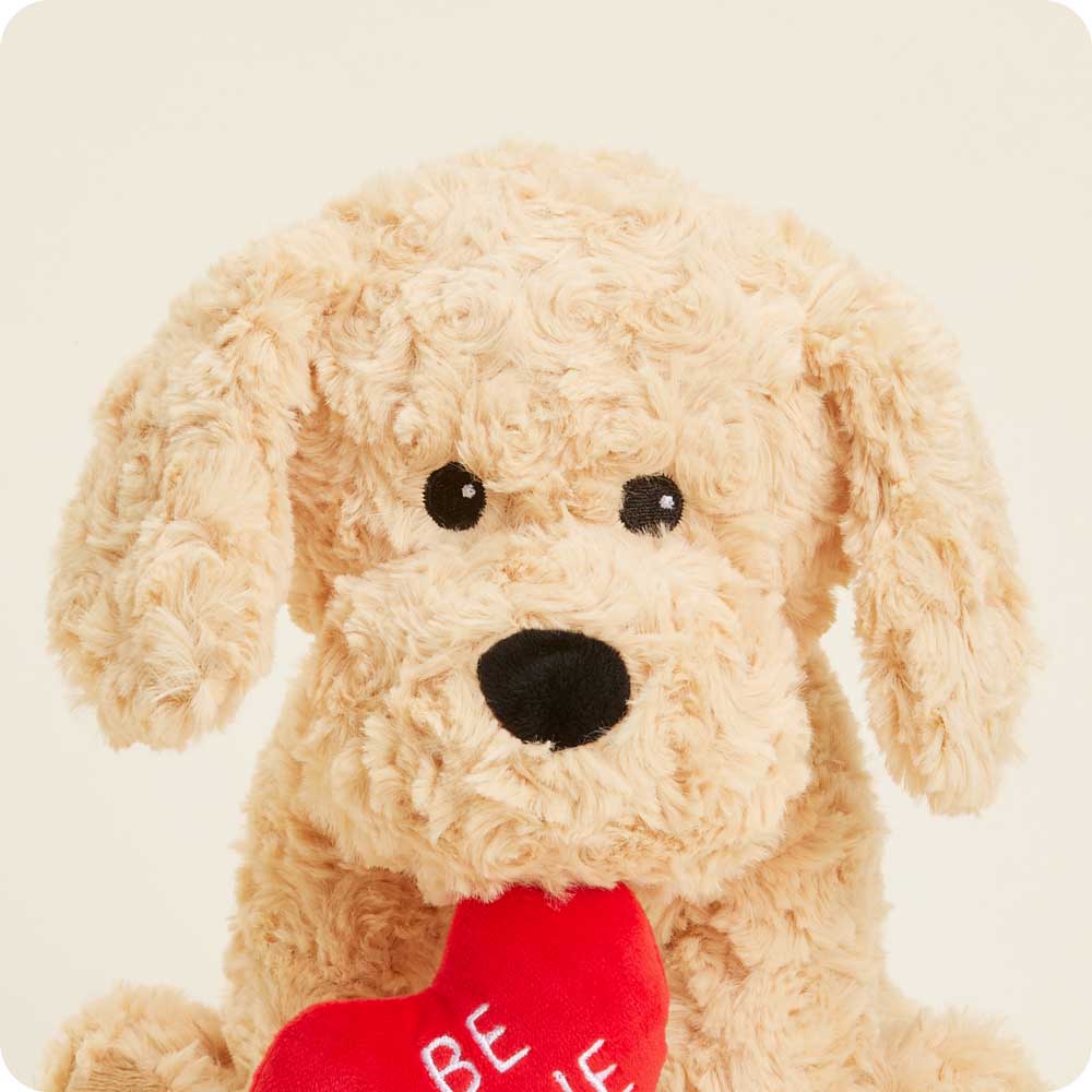 Be Mine Golden Dog Warmies - Easy Spritz