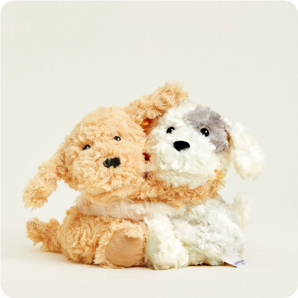 Puppy Hugs - Ready Routine