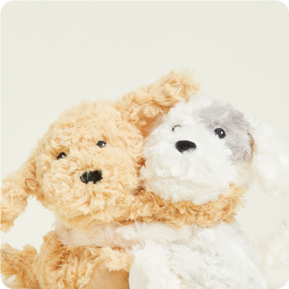 Puppy Hugs - Ready Routine