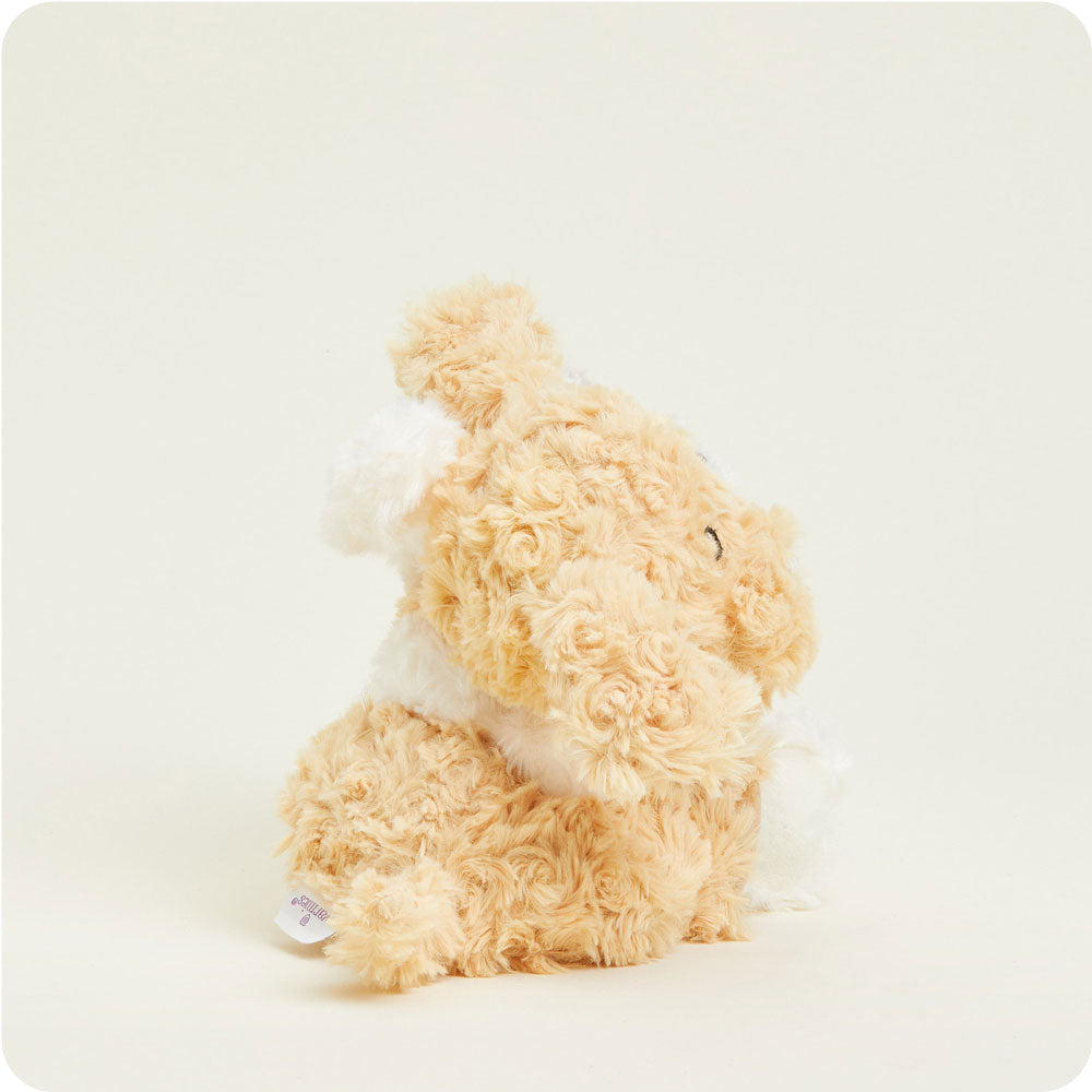 Puppy Hugs - Ready Routine