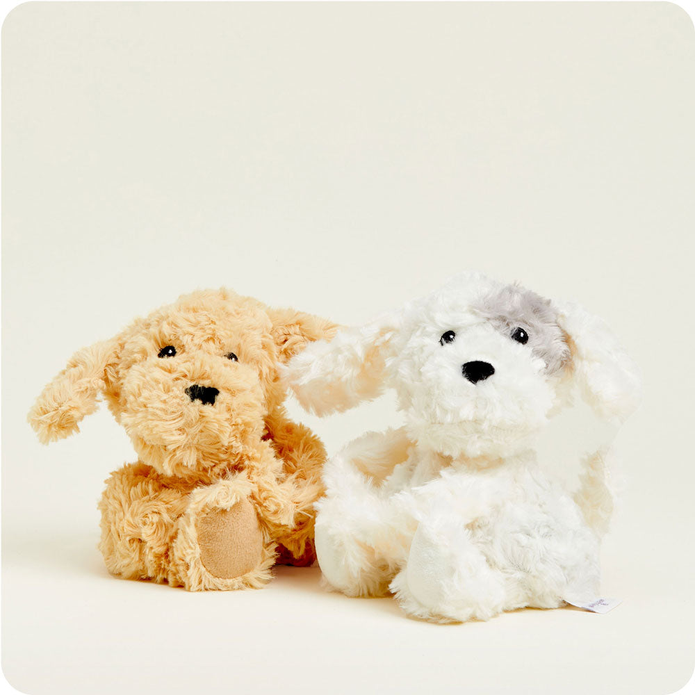 Puppy Hugs - Ready Routine