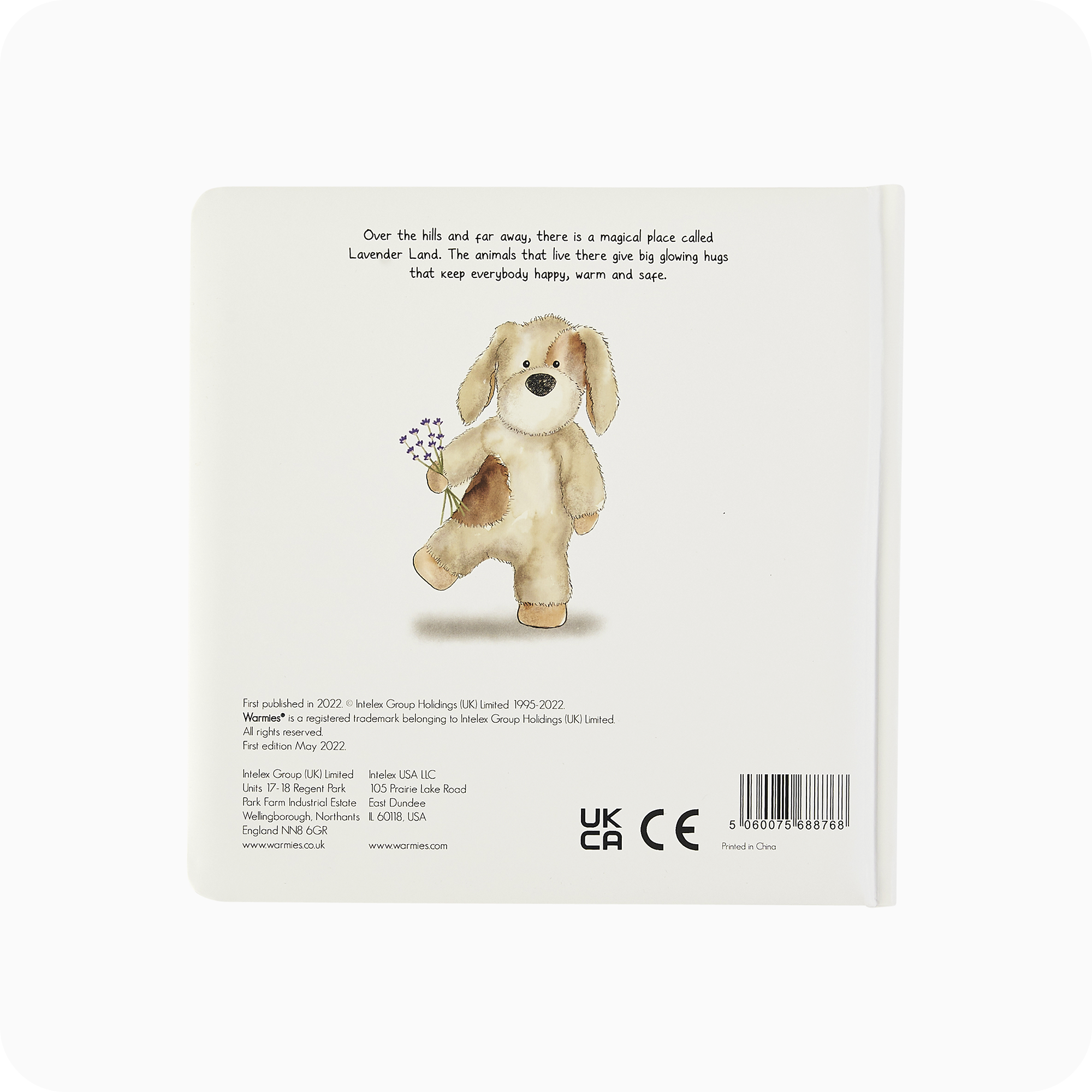 A Special Secret Place Board Book - Simple Edit