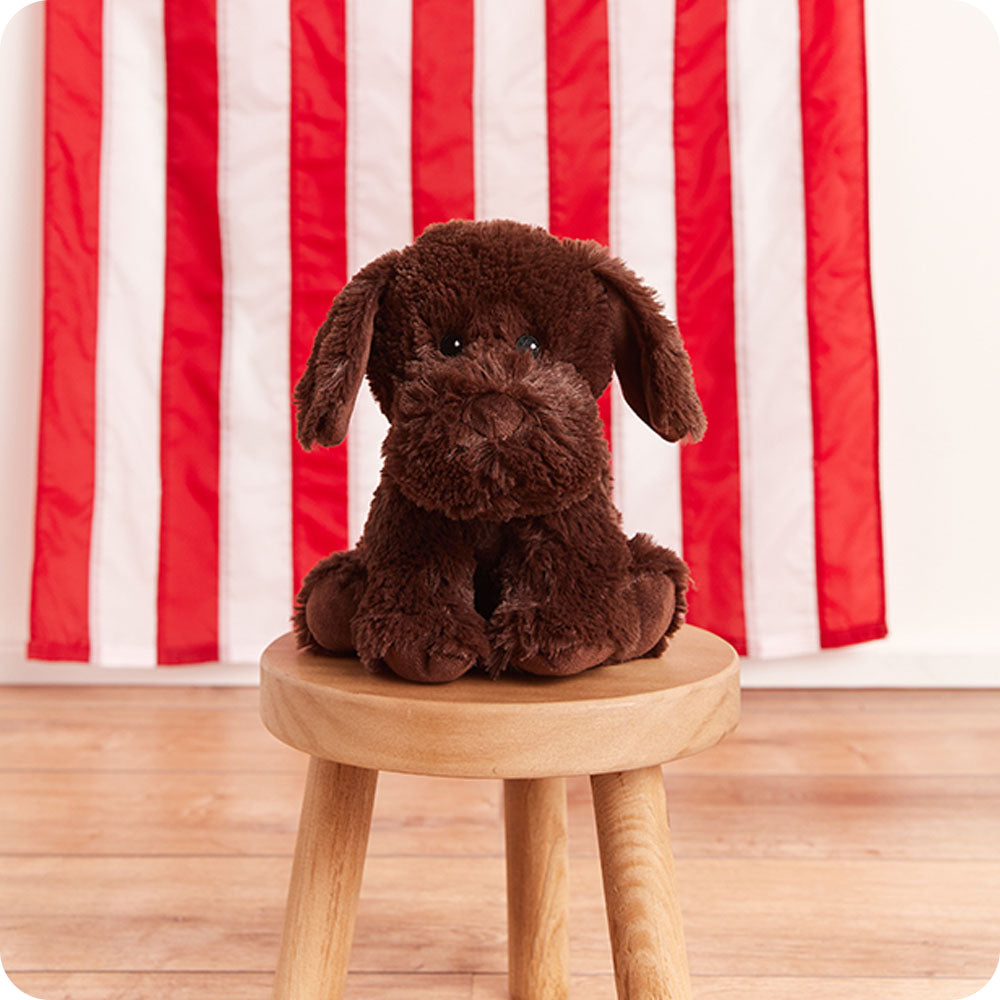 Chocolate Labrador Warmies - Cozy Glow