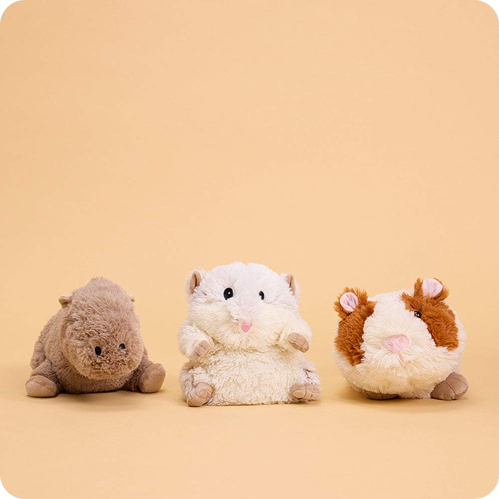 Guinea Pig Warmies - Daily Scent